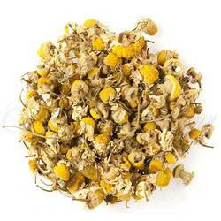 Egyptian Camomile - Organic